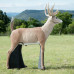 Wildcrete Whitetail Deer